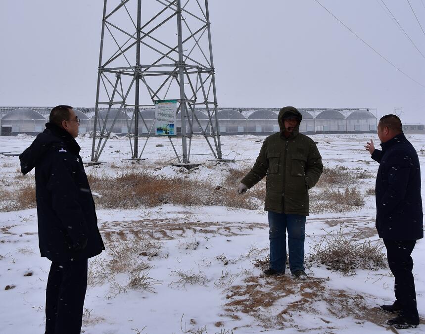 二連浩特供電公司：開展客戶側(cè)安全檢查，確?？诎犊蛻粝楹兔髁吝^春節(jié)