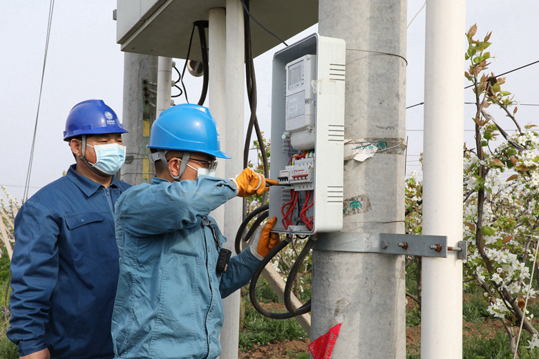 國網(wǎng)諸城市供電公司電力足，千畝梨園花正濃