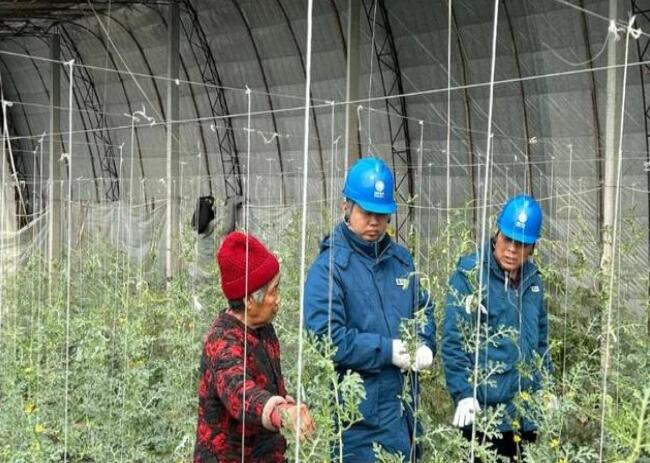 山東惠民供電公司：走訪種植大棚，優(yōu)化農(nóng)業(yè)營(yíng)商環(huán)境