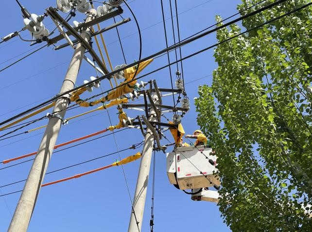 帶電作業(yè)除隱患，安全供電有保障