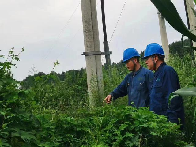 國網(wǎng)長春供電公司積極應(yīng)對極端天氣，確保線路設(shè)備穩(wěn)定運(yùn)行