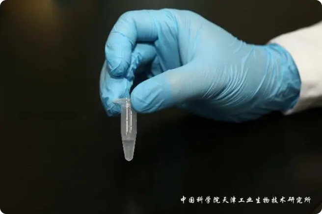 二氧化碳“變身”糖，中國科學(xué)家實現(xiàn)重大突破!