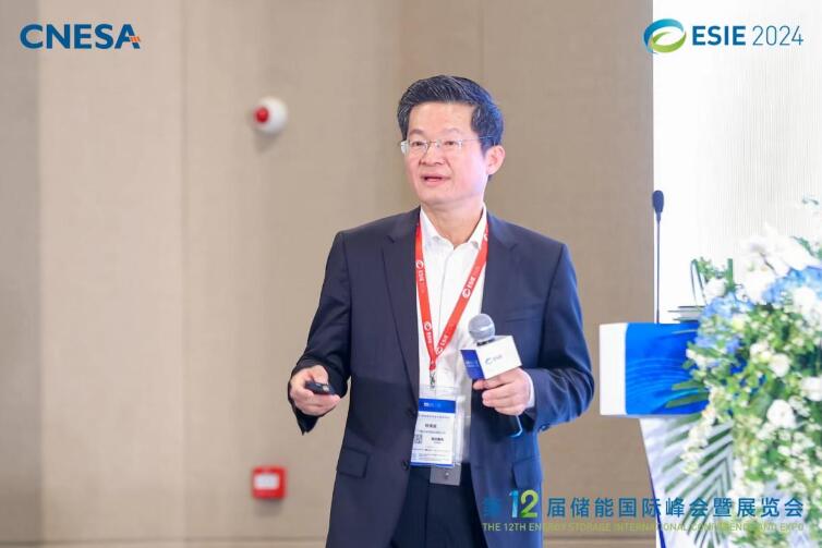林澤波：儲能企業(yè)出海不是價格競爭，而是以定制優(yōu)質產品和服務實現可持續(xù)發(fā)展