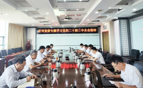 水電基礎局黨委召開傳達學習黨的二十屆三中全